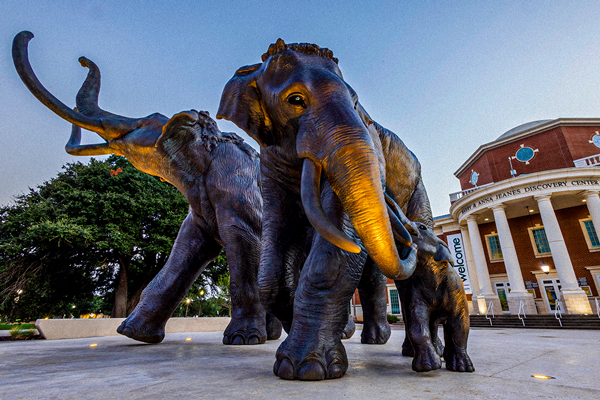 Giant metal mammoth statues outside of the Mayborn museum at dusk